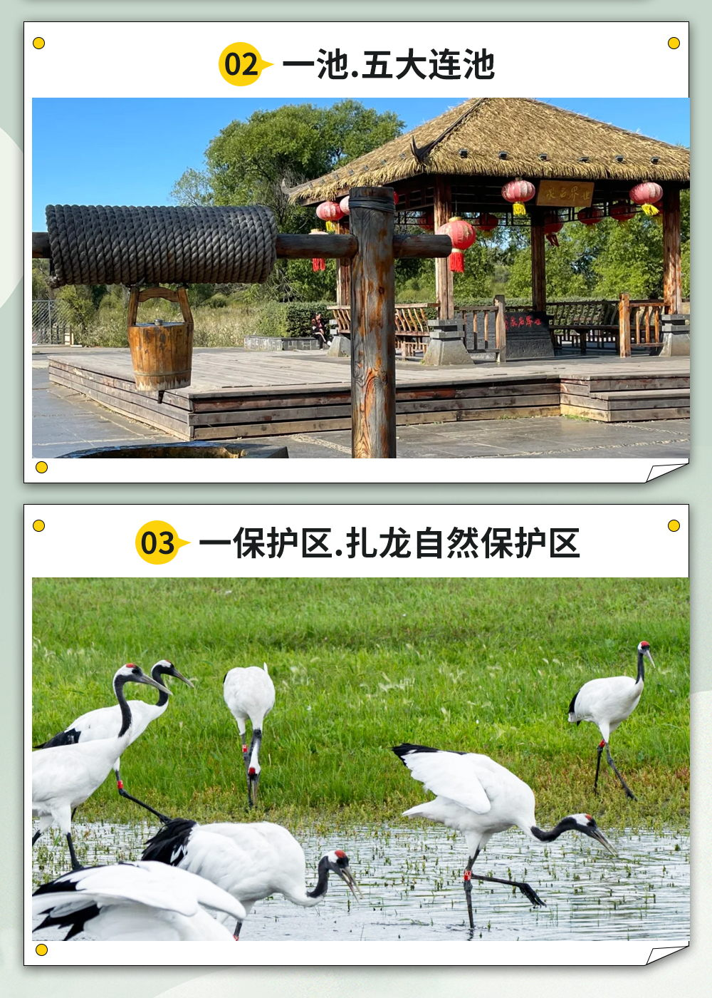 图片7